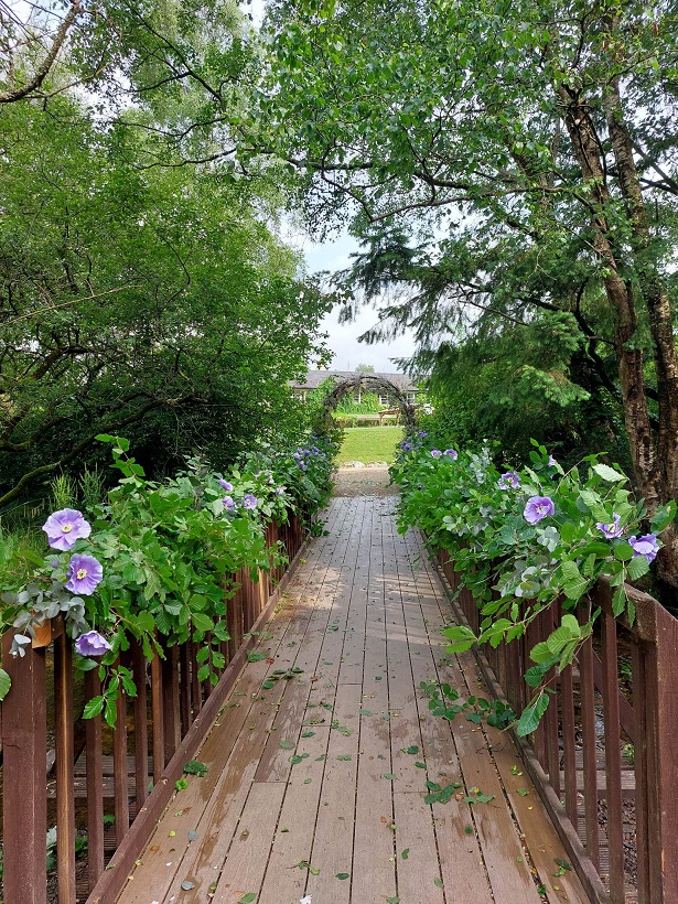 Lilac Wedding Decor in Brooklodge