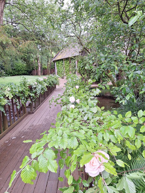 Foliage on Brooklodge Bridge